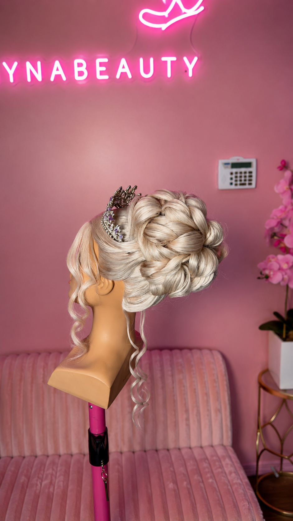 ℳ𝒶𝓃𝒾𝓆𝓊𝒾𝓈 ℯ𝓃 𝓉ℴ𝓃ℴ 𝓅𝓁𝒶𝓉𝒶